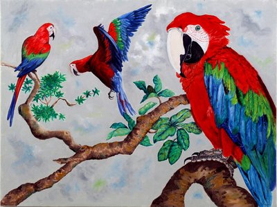 Macaws by Maylee Christie